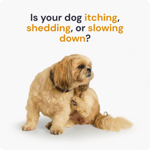 Load image into Gallery viewer, Omega 3 | Dog Omega 3 Multivitamin for Skin, Coat & Joint Health