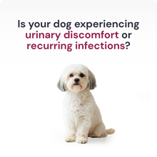 Load image into Gallery viewer, Urinaid | Dog Urinary & Bladder Support with Cranberry
