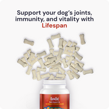 Load image into Gallery viewer, Lifespan | Hip & Joint Tablets, Dog Joint Supplement for Mobility & Vitality