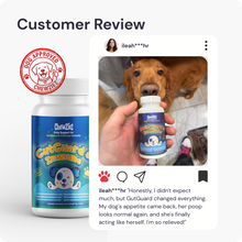 Load image into Gallery viewer, GutGuard & Immune | Dog Probiotic Tablets for Gut & Digestive Health