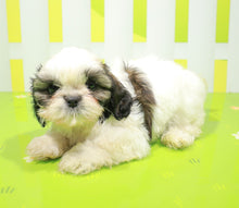 Load image into Gallery viewer, Viy