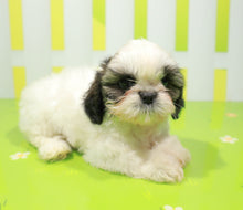 Load image into Gallery viewer, Viy