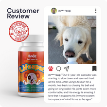 Load image into Gallery viewer, Lifespan | Hip & Joint Tablets, Dog Joint Supplement for Mobility & Vitality