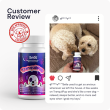Load image into Gallery viewer, TranquilPup | Dog Calming & Relaxation Support Supplement