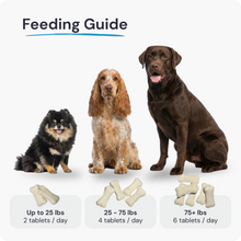 Load image into Gallery viewer, SeniorLife | 20-in-1 Complete Multivitamin & Hip + Joint Support for Senior Dogs