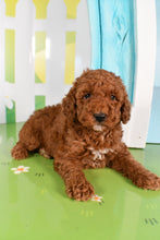 Load image into Gallery viewer, Walter