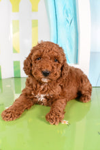 Load image into Gallery viewer, Walter