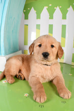 Load image into Gallery viewer, Tye