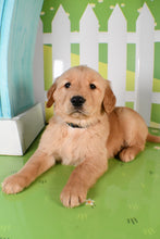 Load image into Gallery viewer, Tye