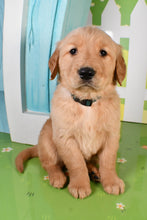 Load image into Gallery viewer, Tye