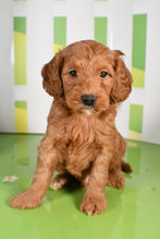 Load image into Gallery viewer, Sterling