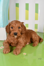 Load image into Gallery viewer, Sterling