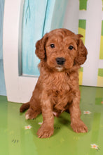 Load image into Gallery viewer, Sterling