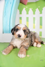 Load image into Gallery viewer, Steel