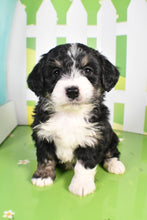 Load image into Gallery viewer, Sophie