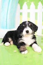 Load image into Gallery viewer, Sophie