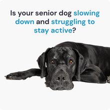 Load image into Gallery viewer, SeniorLife | 20-in-1 Complete Multivitamin &amp; Hip + Joint Support for Senior Dogs