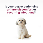 Urinaid | Dog Urinary & Bladder Support with Cranberry