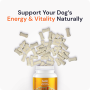 ActivePaws | Comprimidos multivitamínicos para la movilidad y el soporte muscular de perros activos