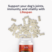 Lifespan | Hip & Joint Tablets, Dog Joint Supplement for Mobility & Vitality