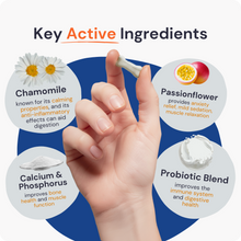 Load image into Gallery viewer, GutGuard &amp; Immune | Dog Probiotic Tablets for Gut &amp; Digestive Health