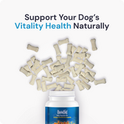 SeniorLife | Multivitamínico completo 20 en 1 y soporte para cadera + articulaciones para perros mayores