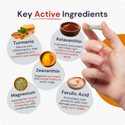 Lifespan | Hip & Joint Tablets, Dog Joint Supplement for Mobility & Vitality