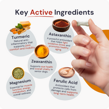 Load image into Gallery viewer, Lifespan | Hip &amp; Joint Tablets, Dog Joint Supplement for Mobility &amp; Vitality