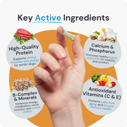 SeniorLife | Multivitamínico completo 20 en 1 y soporte para cadera + articulaciones para perros mayores
