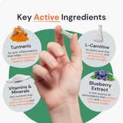 ActivePaws | Comprimidos multivitamínicos para la movilidad y el soporte muscular de perros activos
