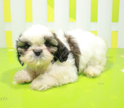 Viy