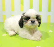 Viy