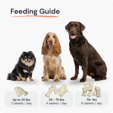 Load image into Gallery viewer, GutGuard &amp; Immune | Dog Probiotic Tablets for Gut &amp; Digestive Health