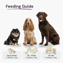 Load image into Gallery viewer, Urinaid | Dog Urinary &amp; Bladder Support with Cranberry
