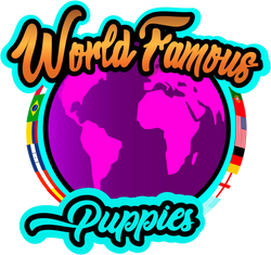 WorldFamousPuppies 